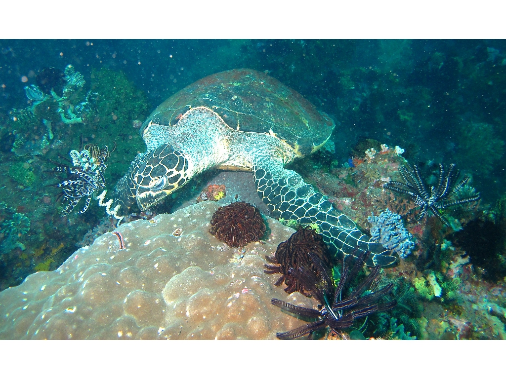 IMG_6720 (1) IMG_6720 (1)